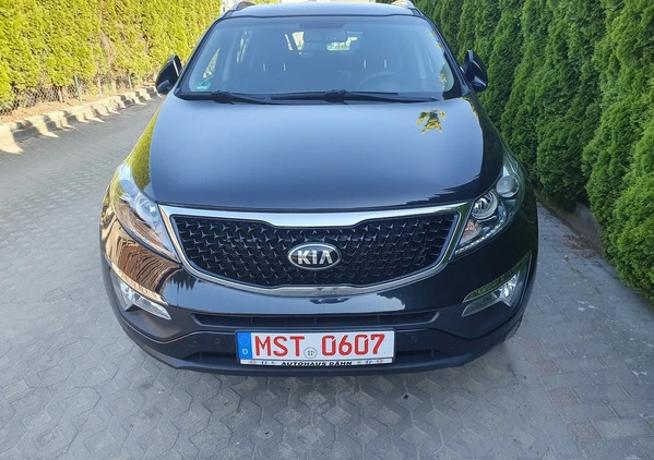 Kia Sportage cena 55950 przebieg: 58920, rok produkcji 2014 z Kędzierzyn-Koźle małe 562